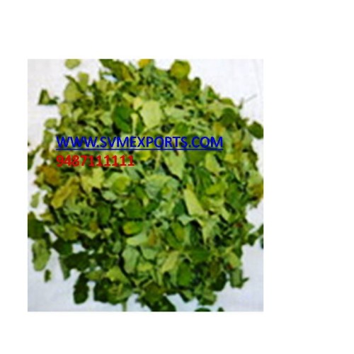 Moringa dry leaf export